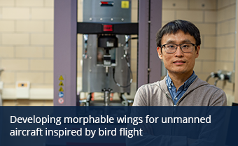 Developing morphable wings for unmanned aircraft inspired by bird flight