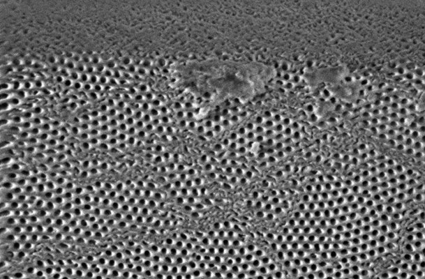 A zoomed-in scanning electron microscope image showing details of shear banding behavior of a nano-porous anodic aluminum oxide membrane.